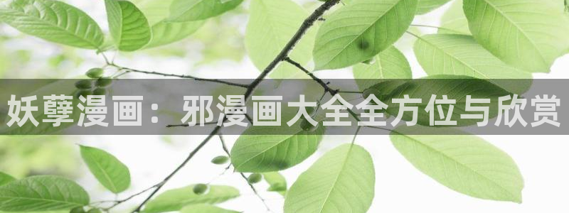 yy漫画破解版：妖孽漫画：邪漫画大全全方位与欣赏