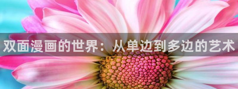 yy漫画.：双面漫画的世界：从单边到多边的艺术